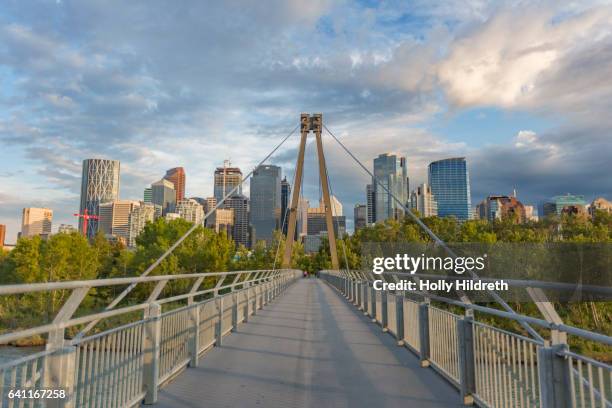 calgary skyline - calgary imagens e fotografias de stock