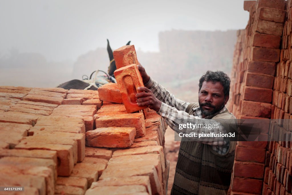 Loading bricks from the kiln