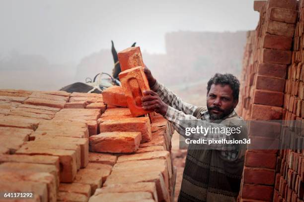 loading bricks from the kiln - kiln stock pictures, royalty-free photos & images