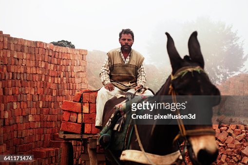 Fully loaded of donkey cart of bricks