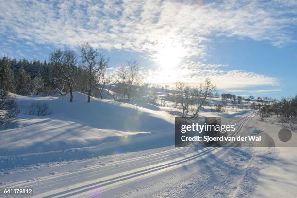 ski trails for cross-country skiing - sjoerd van der wal stock-fotos und bilder