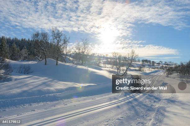 ski trails for cross-country skiing - sjoerd van der wal or sjonature imagens e fotografias de stock