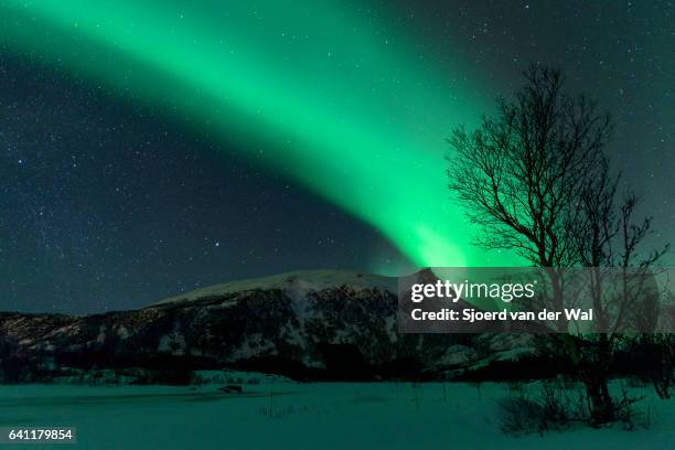 northern lights, polar light or aurora borealis in the night sky - sjoerd van der wal or sjocar 個照片及圖片檔