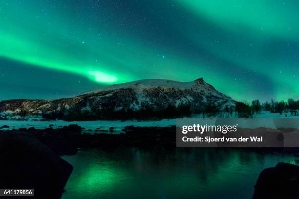 northern lights, polar light or aurora borealis in the night sky - "sjoerd van der wal" stock-fotos und bilder