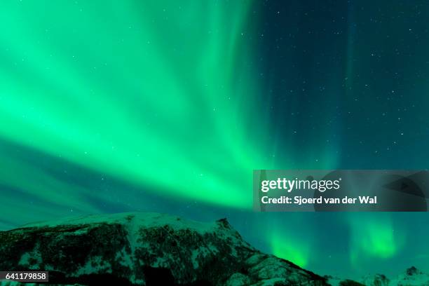 northern lights, polar light or aurora borealis in the night sky - "sjoerd van der wal" stock-fotos und bilder