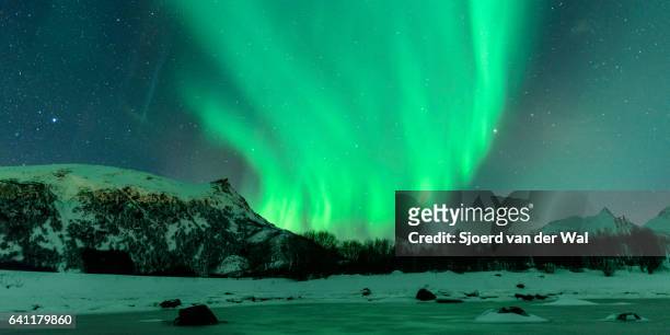 northern lights, polar light or aurora borealis in the night sky - "sjoerd van der wal" stock pictures, royalty-free photos & images