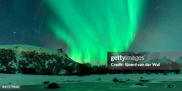 northern lights, polar light or aurora borealis in the night sky - sjoerd van der wal or sjonature imagens e fotografias de stock