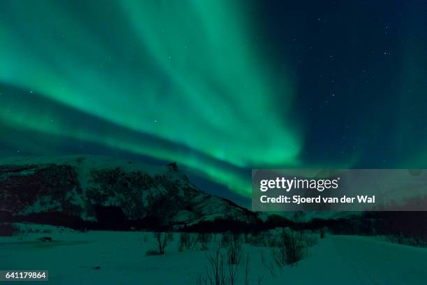 northern lights, polar light or aurora borealis in the night sky - sjoerd van der wal or sjocar 個照片及圖片檔