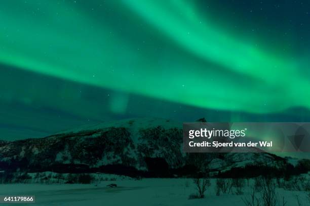 northern lights, polar light or aurora borealis in the night sky - "sjoerd van der wal" stock pictures, royalty-free photos & images