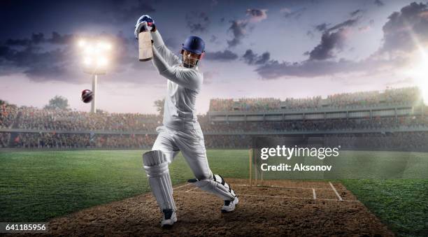 cricket: batsman on the stadium in action - batsman stock pictures, royalty-free photos & images