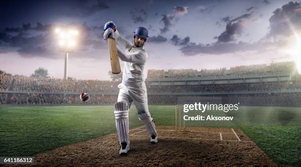 cricket: batsman on the stadium in action - batsman stock pictures, royalty-free photos & images