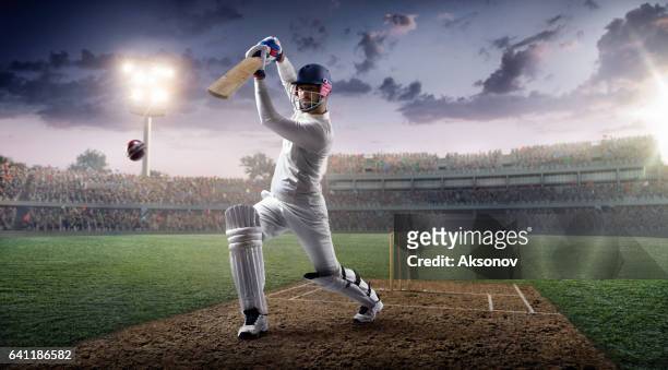cricket: batsman on the stadium in action - batting stock pictures, royalty-free photos & images