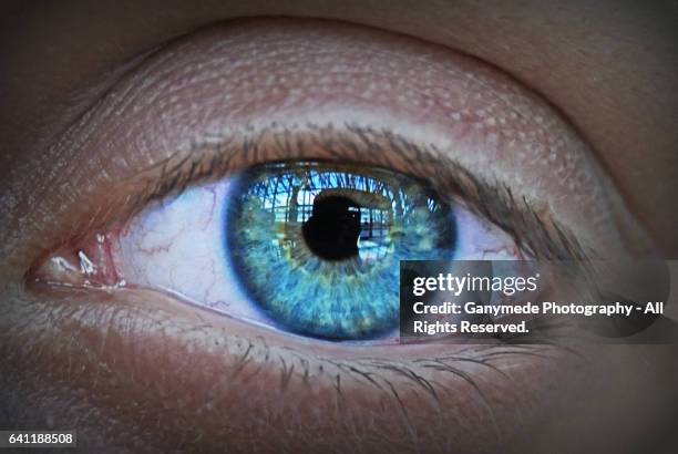 blue eye - blue iris eye stock pictures, royalty-free photos & images