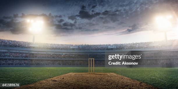 cricket: stadio cricket - giocatore di cricket foto e immagini stock