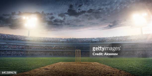 cricket: cricket stadium - jogador de críquete imagens e fotografias de stock