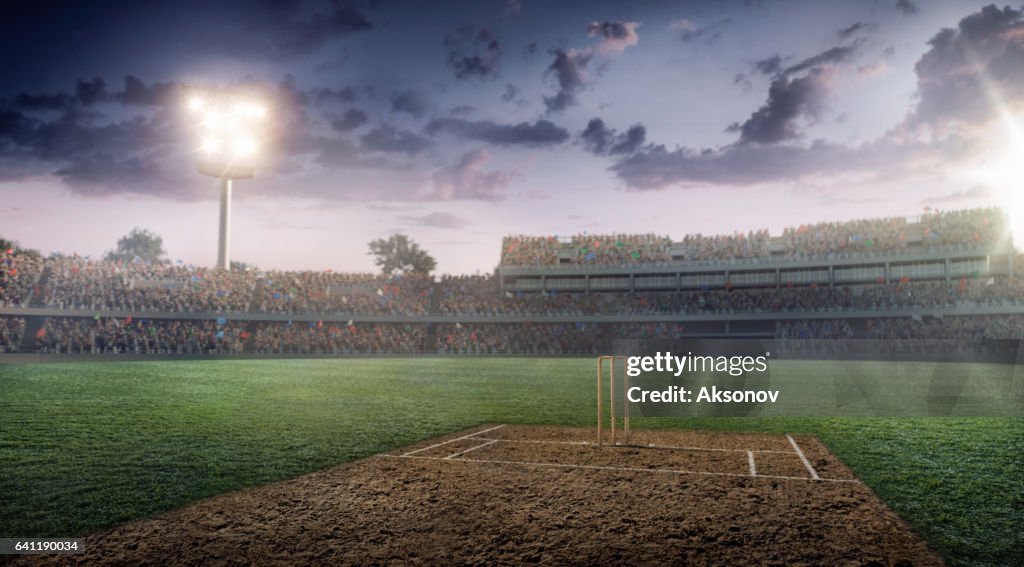 Cricket: Cricket stadium