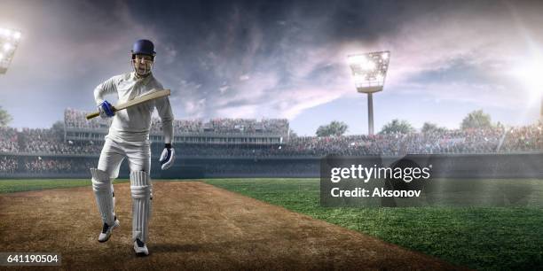 cricket: happy batsman on the stadium - cricket field stock pictures, royalty-free photos & images