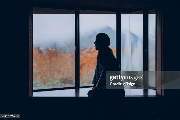 beautiful young girl resting on windowsill looking through window - frog silhouette stock pictures, royalty-free photos & images