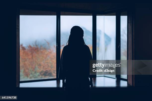 silhouette of woman standing in front of window looking away the scienic - frog silhouette stock pictures, royalty-free photos & images