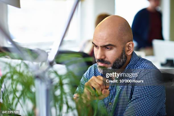 businessmen working on a laptop in a start-up office - hair loss stock pictures, royalty-free photos & images