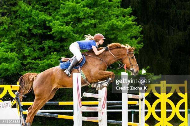 springreiten - pferd mit reiter vorbei über hürde - springpferde stock-fotos und bilder