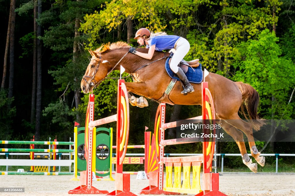 Show jumping - horse with rider passing over hurdle