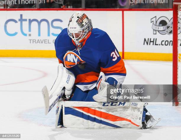 Goalie Jean-Francois Berube of the New York Islanders makes a save in an NHL hockey game against the Carolina Hurricanes at Barclays Center on...