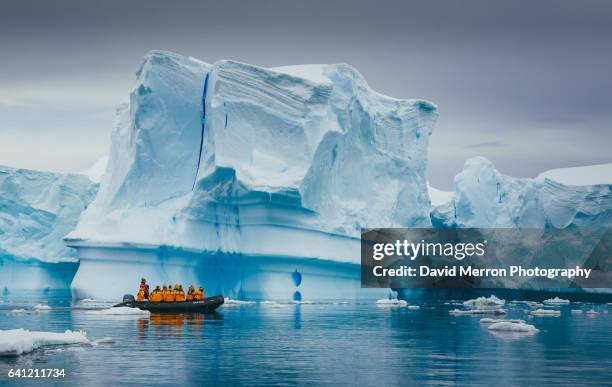 cruising antarctica - antarctica stockfoto's en -beelden