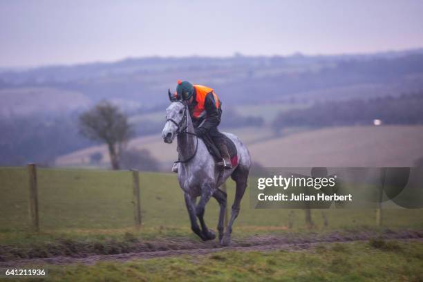 Trained by Nigel Twiston-Davies Bristol De Mai gallops at the trainers stables on February 2, 2017 in Gloucester, England.