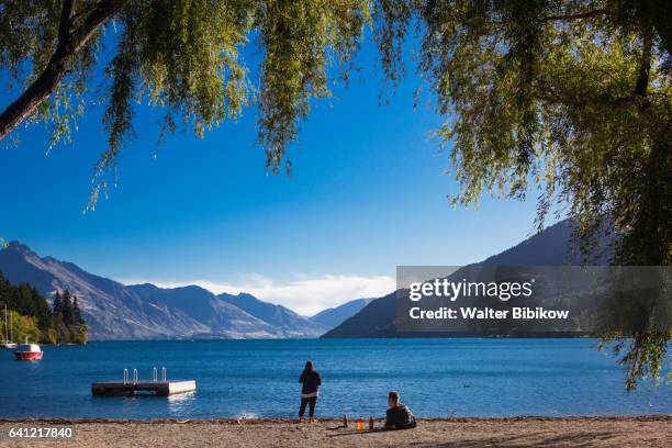 new zealand, south island, exterior - queenstown fotografías e imágenes de stock