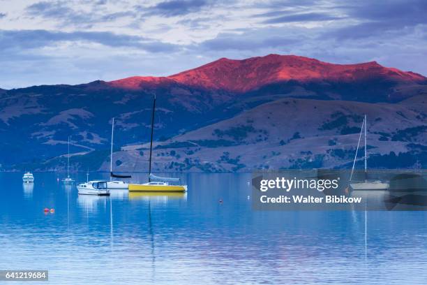 new zealand, south island, exterior - akaroa stock pictures, royalty-free photos & images