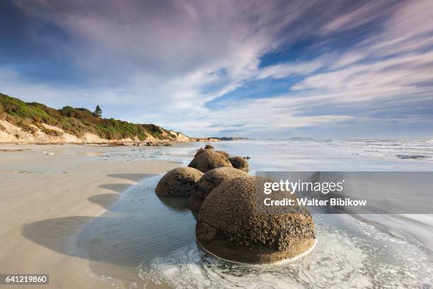 new zealand, south island, exterior - moeraki stock pictures, royalty-free photos & images