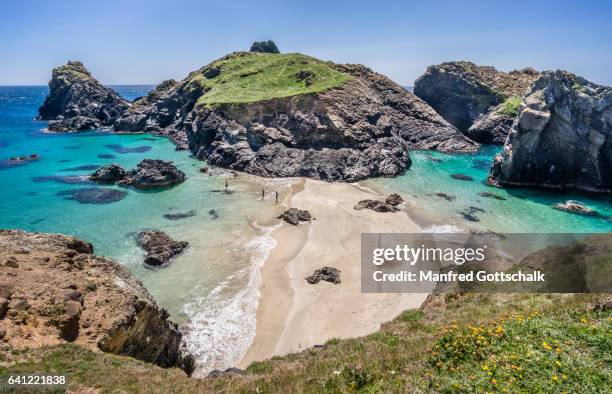 asparagus island kynance cove - cornwall engeland stockfoto's en -beelden