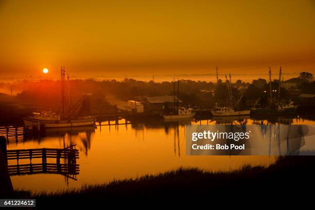 tybee island, georgia - tybee island stock pictures, royalty-free photos & images