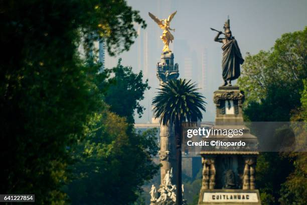 reforma avenue skyline in mexico city - mexico skyline stock pictures, royalty-free photos & images