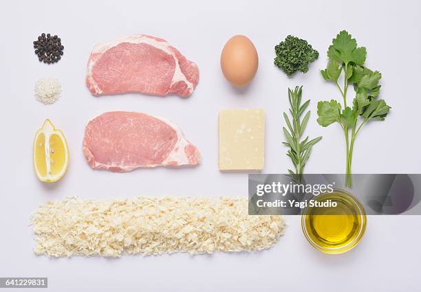 cheese and parsley pork cutlet knolling style - parmesan cheese overhead stock pictures, royalty-free photos & images