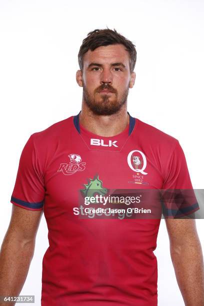 Kane Douglas poses during the Queensland Reds Super Rugby headshots session on January 18, 2017 in Brisbane, Australia.