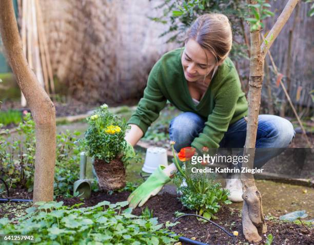 woman planting flowers in her backyard, rome, italy - landscaper photos et images de collection