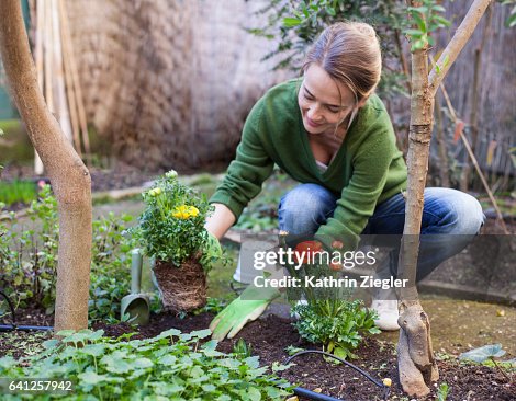 Woman planting flowers in her backyard, Rome, Italy Woman planting flowers in her backyard, Rome, Italy