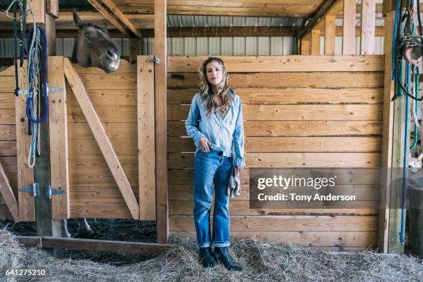 young woman in barn with her horse - pferdestall stock-fotos und bilder