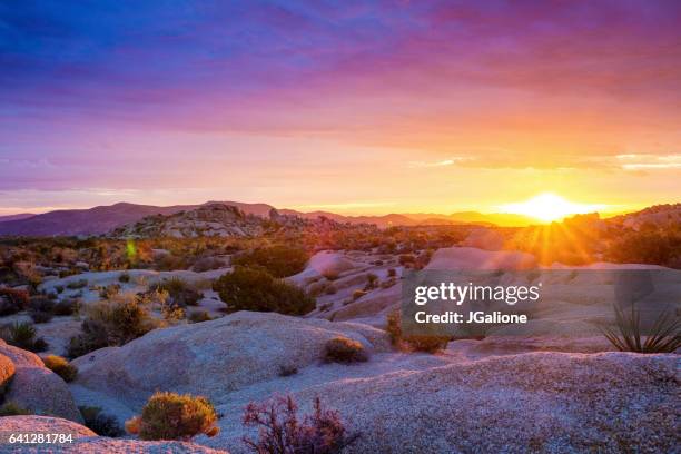 sunrise at joshua tree national park - joshua tree rock stock pictures, royalty-free photos & images