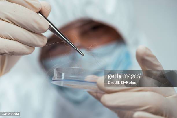 forensische wetenschap - forensisch onderzoek stockfoto's en -beelden