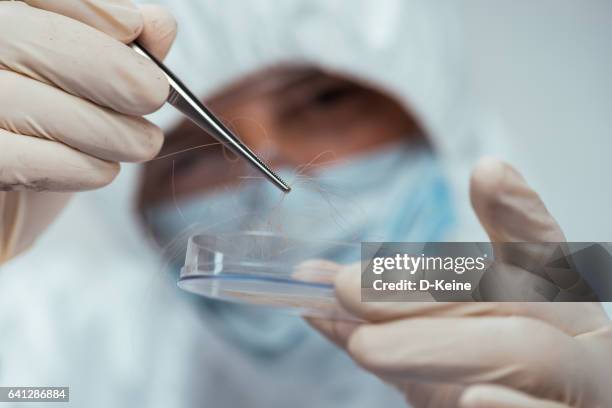 forensic science - medical examiner stock pictures, royalty-free photos & images