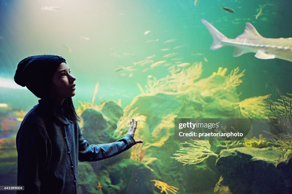 Girl is looking beautiful reef aquarium