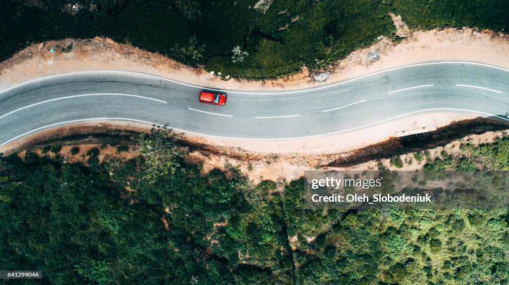 Aerial view on red car on the road near tea plantation