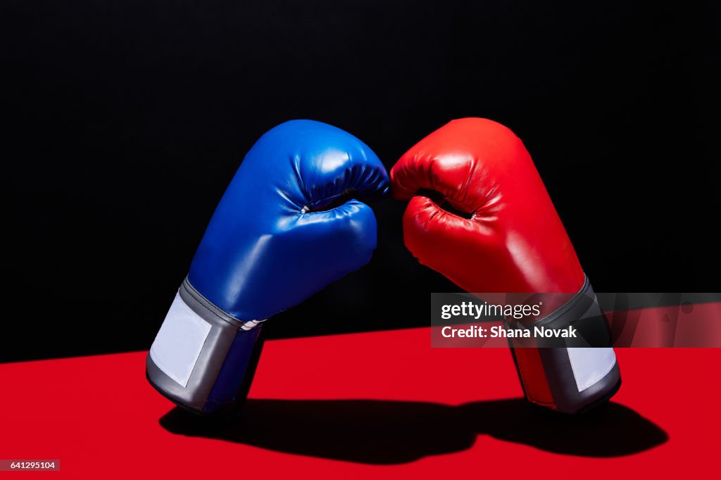 Dueling Boxing Gloves