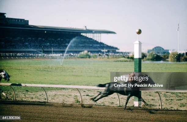 Jockey Eddie Arcaro rides Bold Ruler as they go on to win the Flamingo Stakes on March 2, 1957 at the Hialeah Park Race Track in Hialeah, Florida.