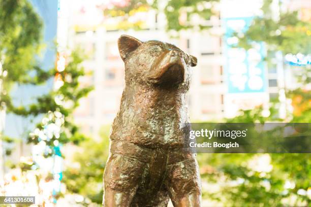 76 Shibuya Dog Statue Stock Photos, High-Res Pictures, and Images