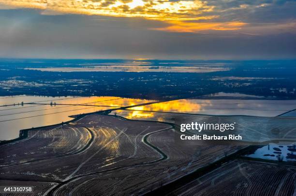 1,174 California Rice Field Stock Photos, High-Res Pictures, and Images ...