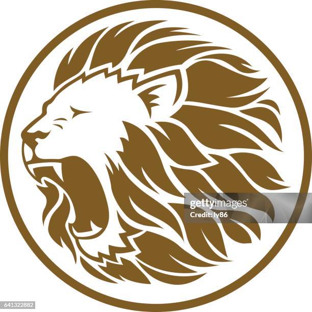 lion head  - lion head illustration stock-grafiken, -clipart, -cartoons und -symbole